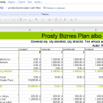 Biznes plan lub cash flow w Excelu