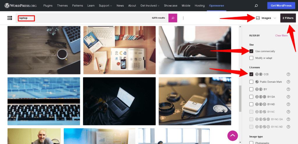 Wybór obrazów w Openverse